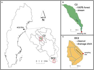 Metabolic processes control carbon dioxide dynamics in a boreal forest ditch affected by clear-cut forestry